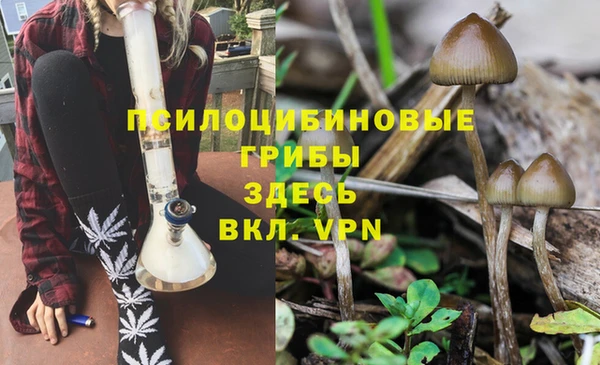 mdma Верея
