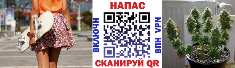 Бошки Шишки White Widow закладки Динская